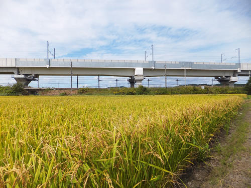 大谷地架道橋の画像
