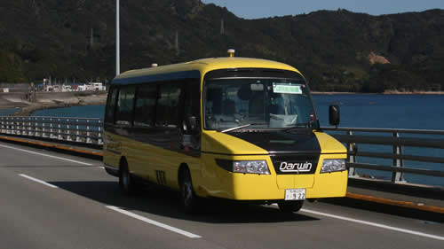 DMV1の画像